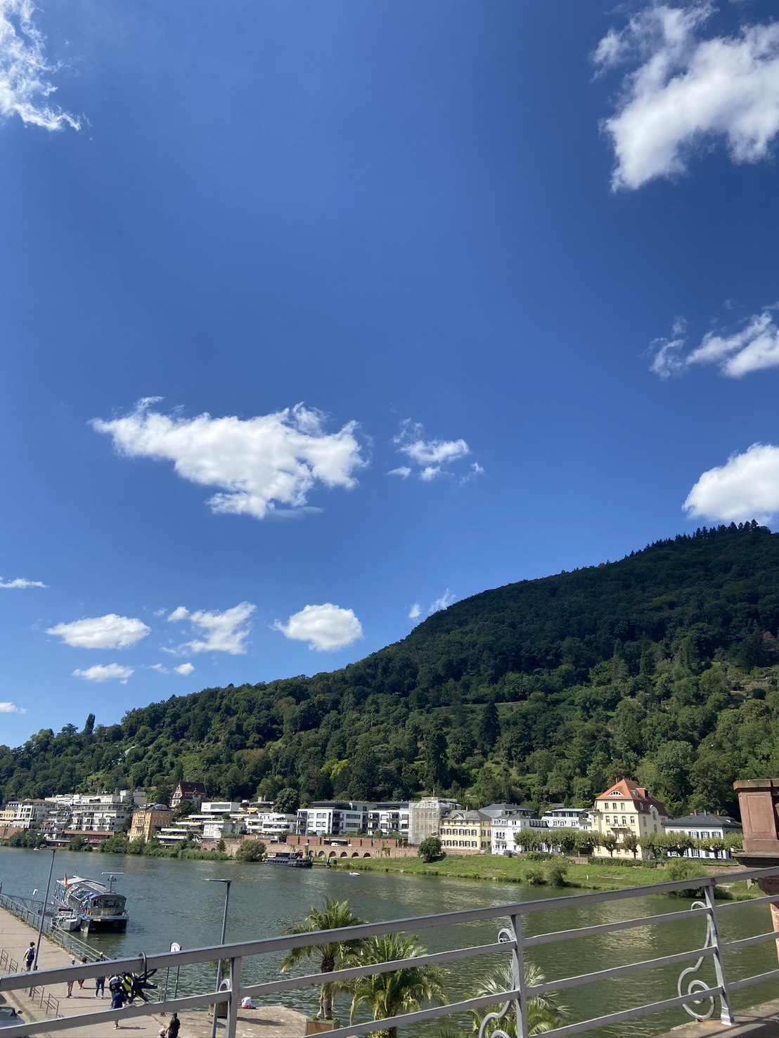 Germany & Czechia trip photo 4
