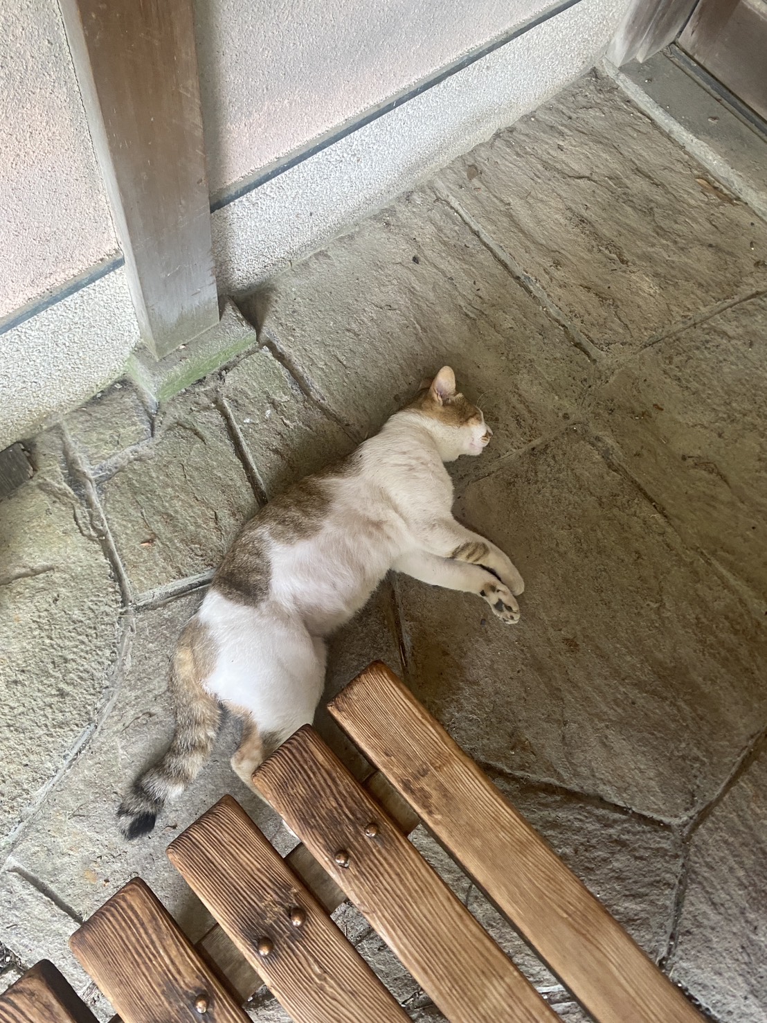 Takamatsu, Japan trip photo 5